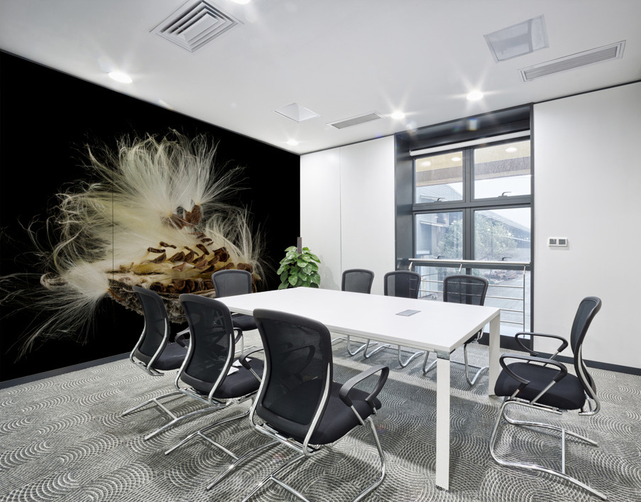 Macro photo of swamp milkweed seed pod Wall Printing