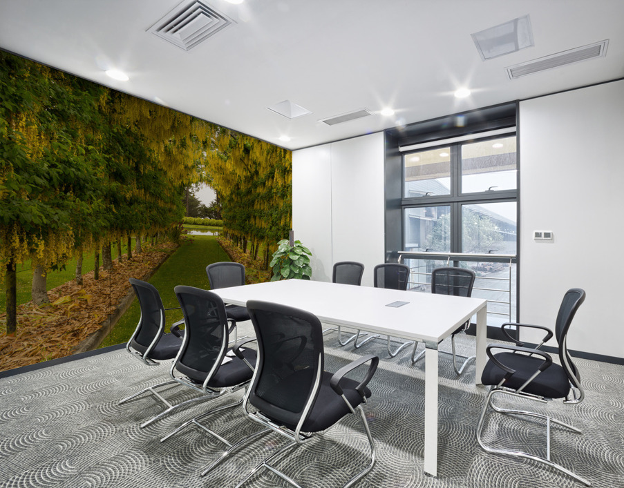 Laburnum Arch in full bloom over grass path Wall Printing