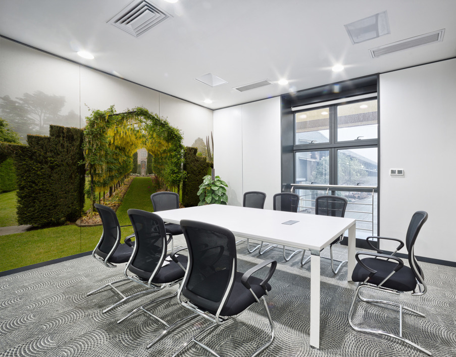 Laburnum Arch in full bloom over grass path Wall Printing