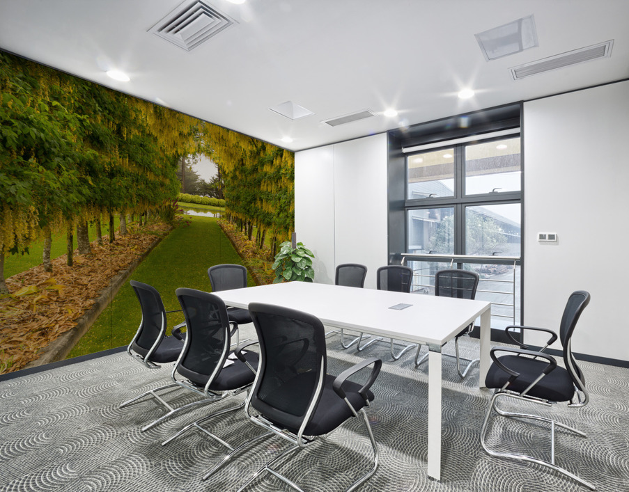 Laburnum Arch in full bloom over grass path Wall Printing