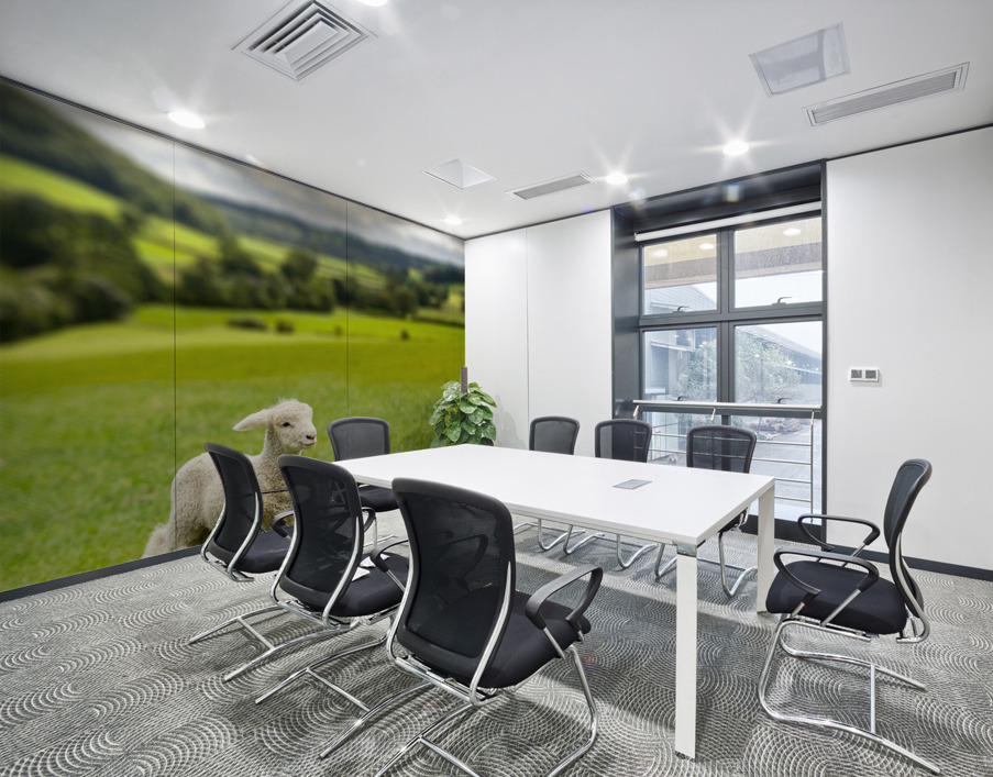 Cute lamb in meadow in wales or Yorkshire Dales Wall Printing