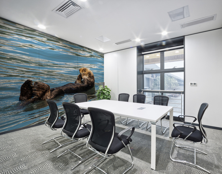 Sea Otter floating in Resurrection Bay near Seward Wall Printing