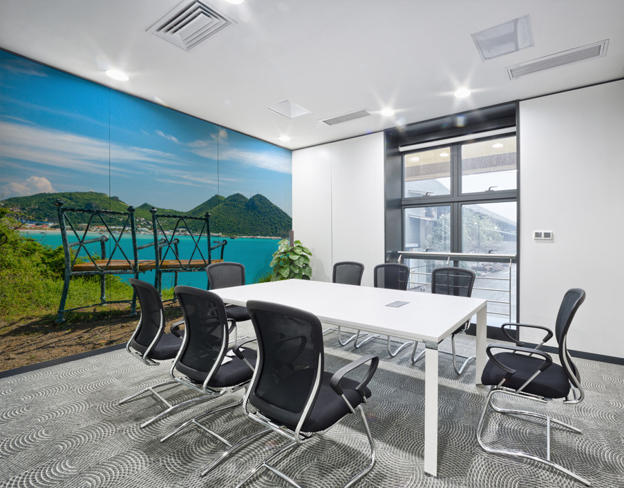 Overview of Philipsburg Sint Maarten Wall Printing