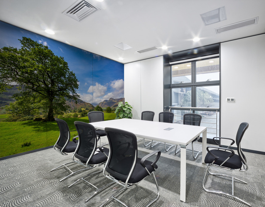 Tree with Langdale Pikes in Lake District Wall Printing