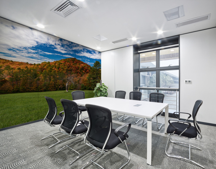 Old tree trunk contrasts with vibrant Vermont fall colors Wall Printing