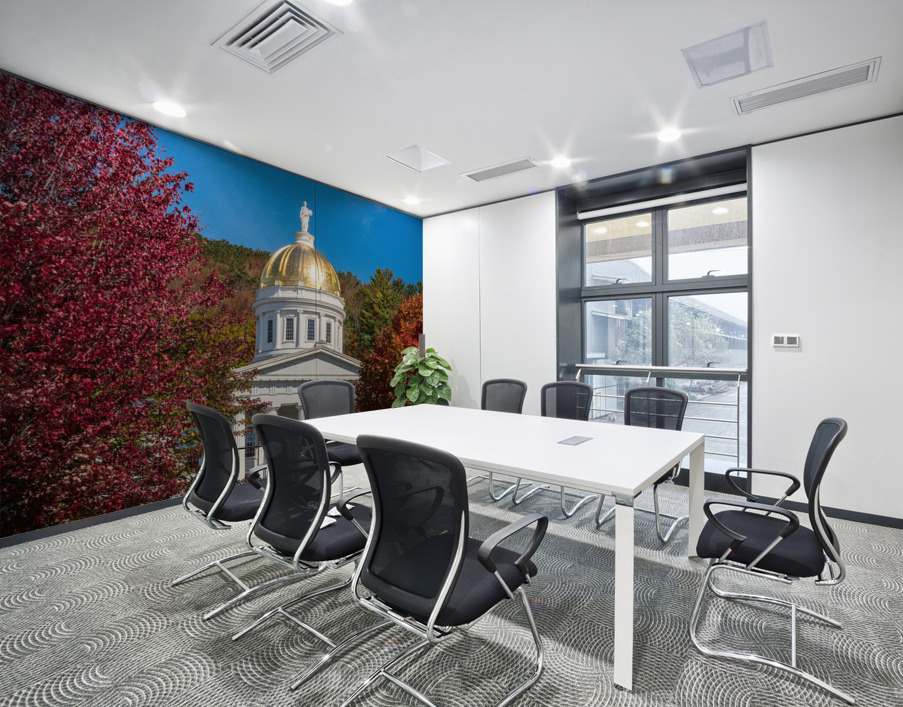 Gold dome of Vermont State House in Montpelier Wall Printing