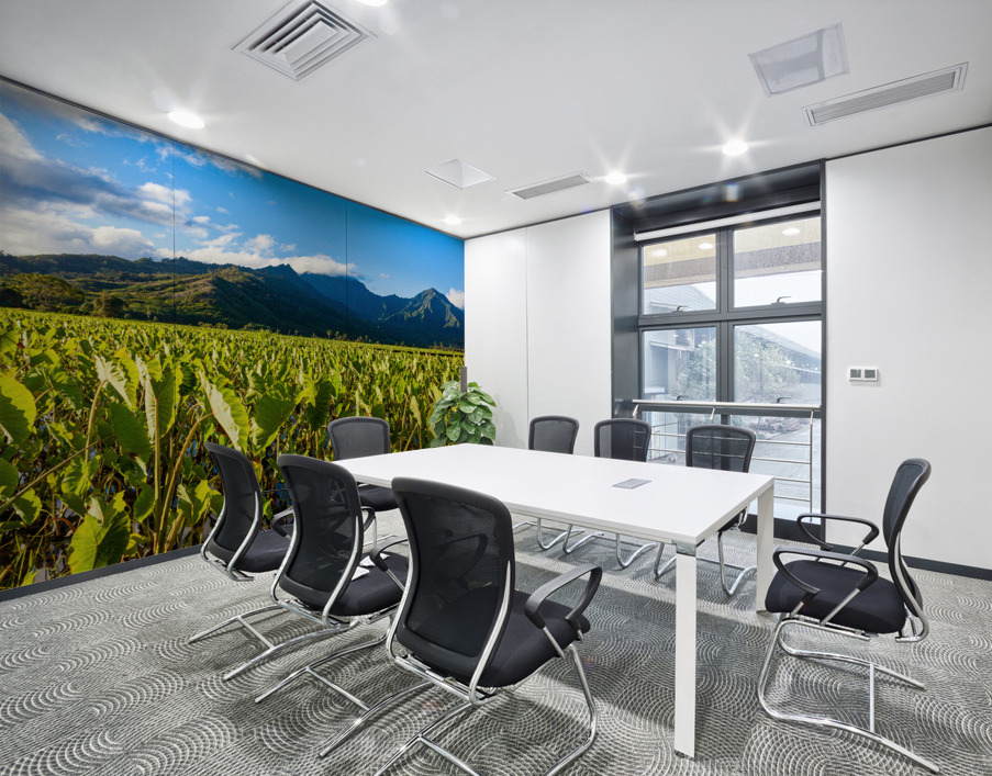 Hanalei Valley in Kauai Wall Printing