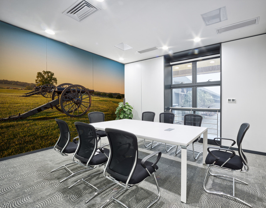 Cannons at Manassas Battlefield Wall Printing