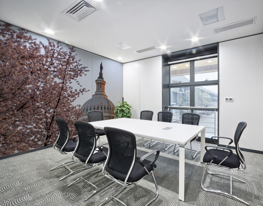 Cherry blossoms by the Capitol dome at dawn Wall Printing