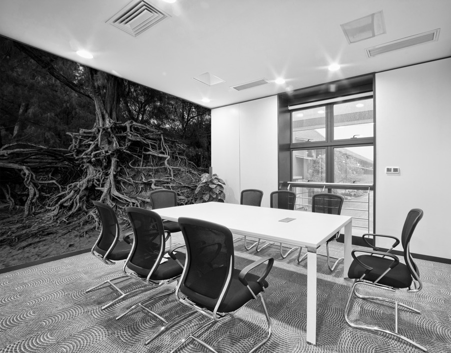 Storm erosion on tree roots at Kee beach Wall Printing