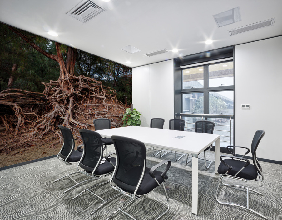 Storm erosion on tree roots at Kee beach Wall Printing