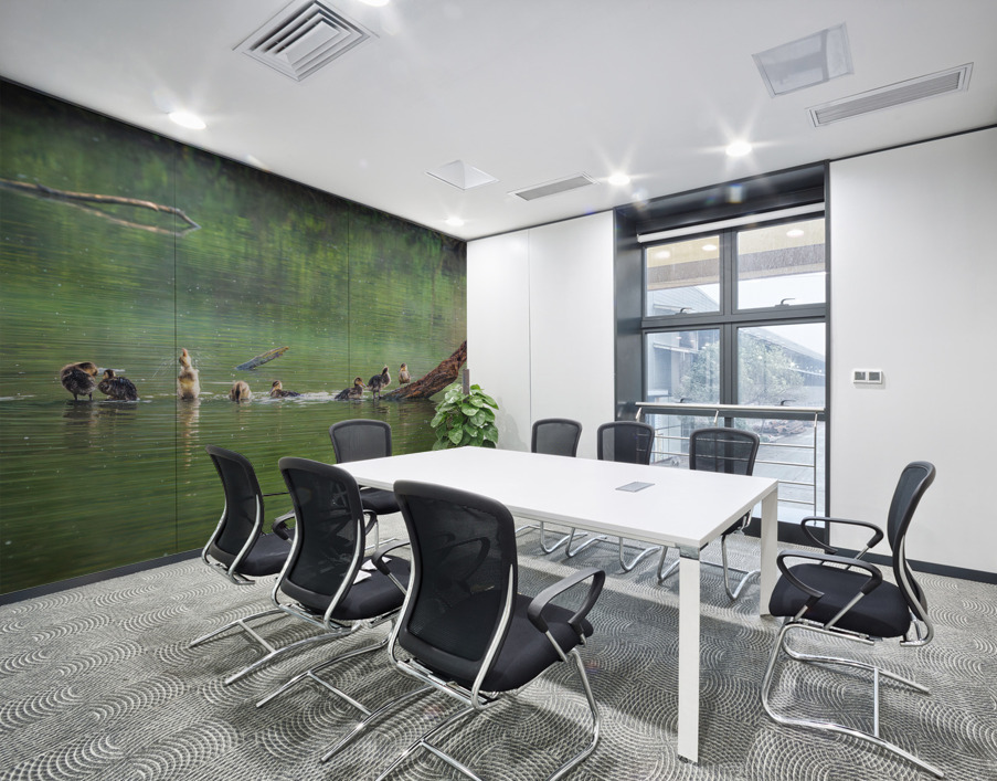Group of ducklings washing in lake at dusk Wall Printing