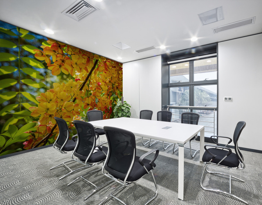 Gorgeous rainbow shower tree blossoms in Hawaii Wall Printing