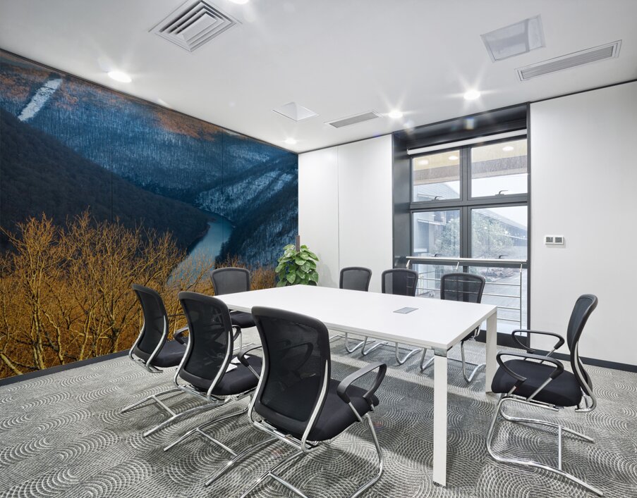 Cold Cheat River Canyon at Coopers Rock on winter afternoon Wall Printing