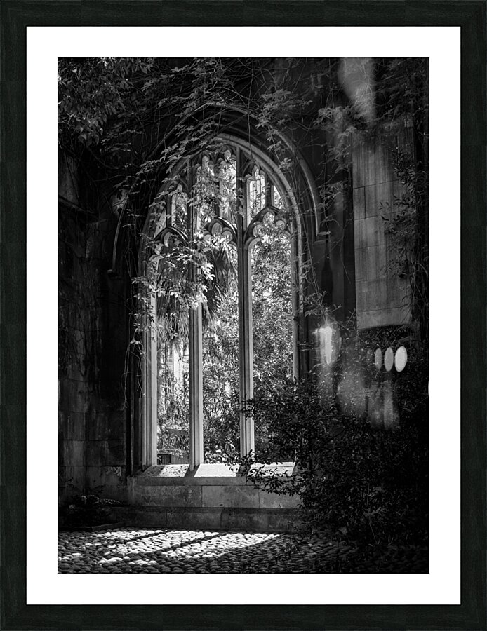 Creeping plants over the empty windows of St Dunstan church Picture Frame print