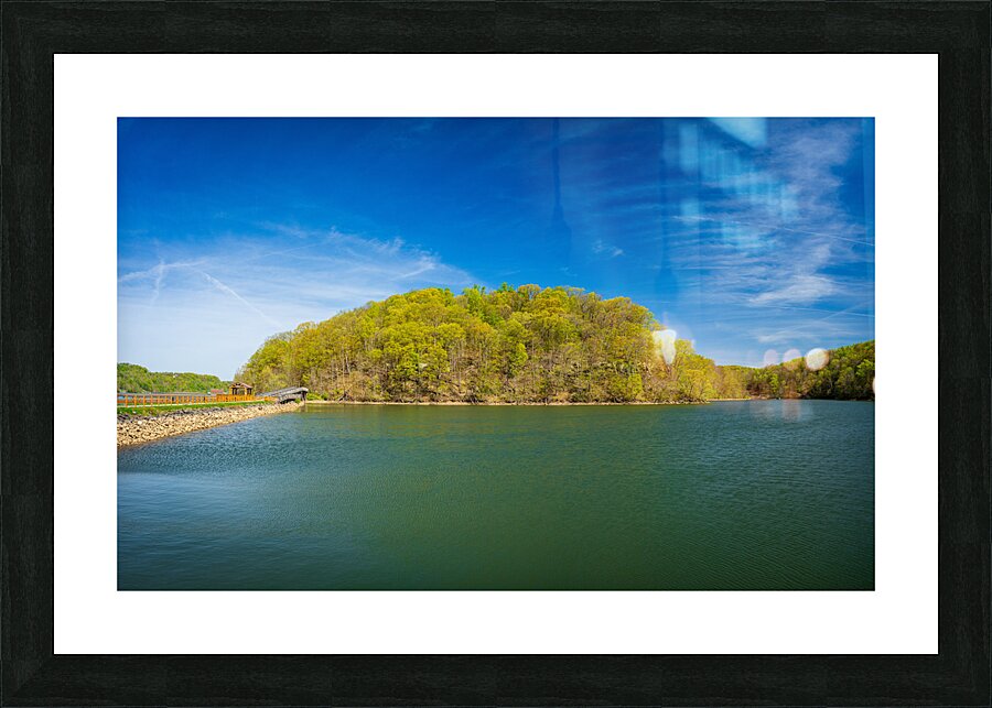 Reflection of spring leaves in Cheat Lake Park near Morgantown Picture Frame print
