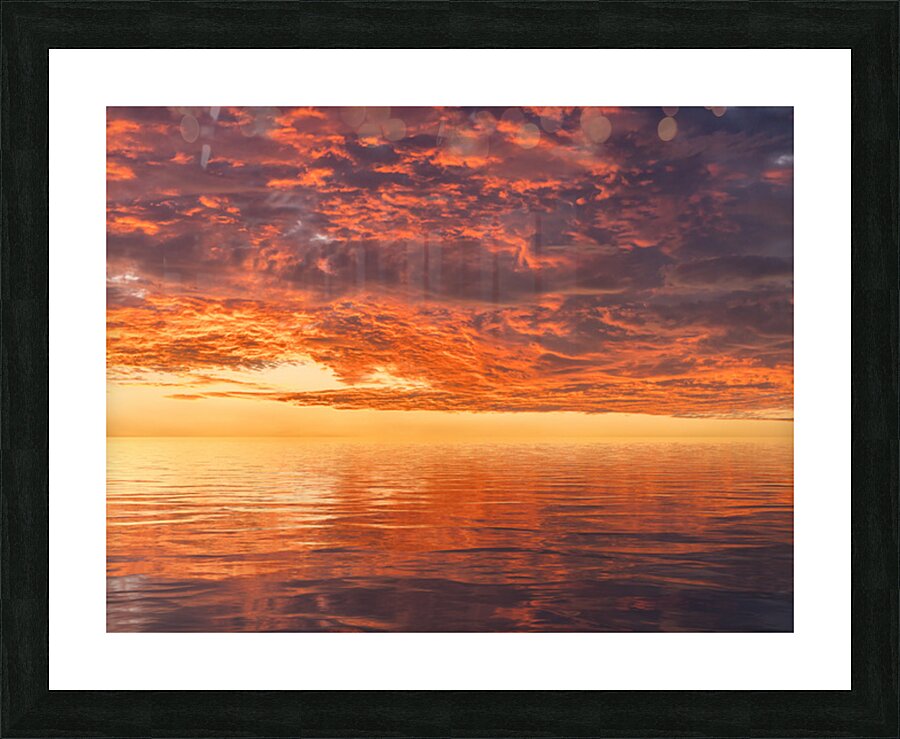 Dramatic sunset reflected in the smooth ripples of a lake or oce Picture Frame print