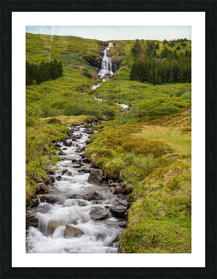 Waterfall in Tunhudalur valley near Isafjordur Iceland with lupi Picture Frame print