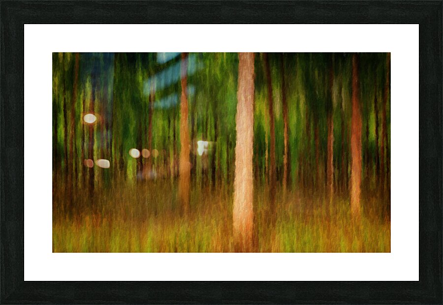 Oil painting impression of mahogany forest Picture Frame print