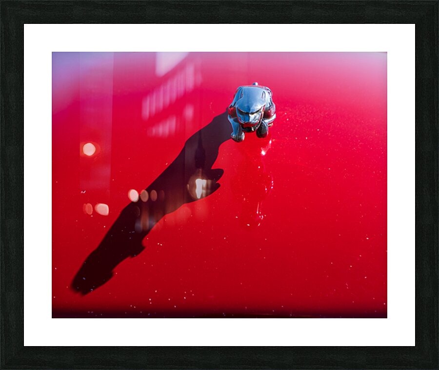 Red Jaguar XJS: Leaper in Sunlight Picture Frame print