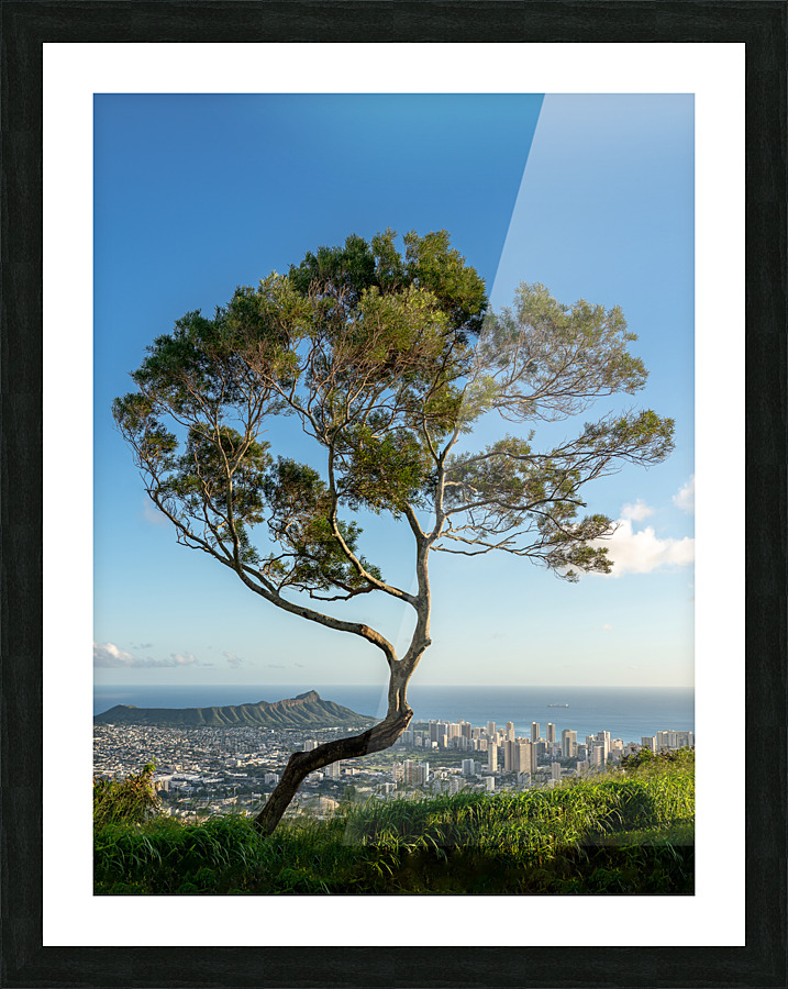 Panorama of Waikiki and Honolulu from Tantalus Overlook on Oahu Picture Frame print