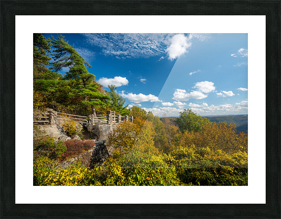 Coopers Rock state park overlook with fall colors Picture Frame print