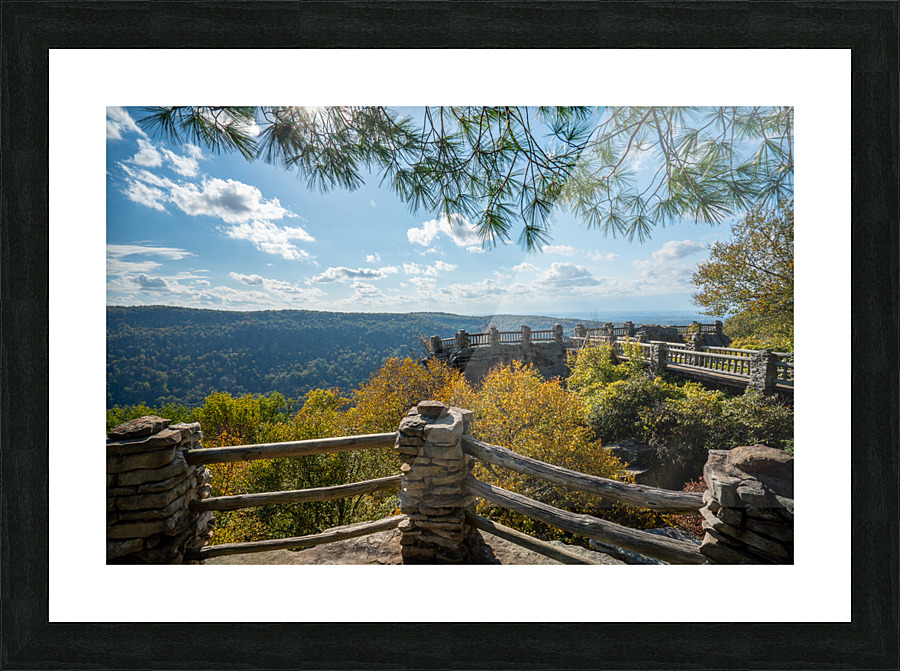 Coopers Rock state park overlook Picture Frame print