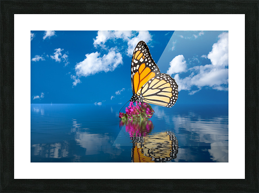 Sea level rise flooding the flowers for butterfly Picture Frame print
