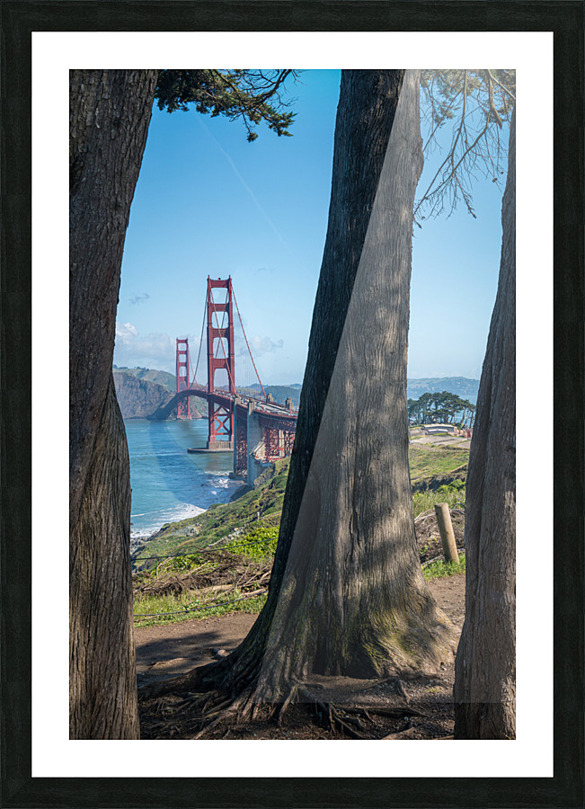 Golden Gate Bridge and tree trunks Picture Frame print
