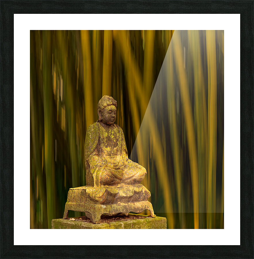 Buddha statue in bamboo forest Picture Frame print