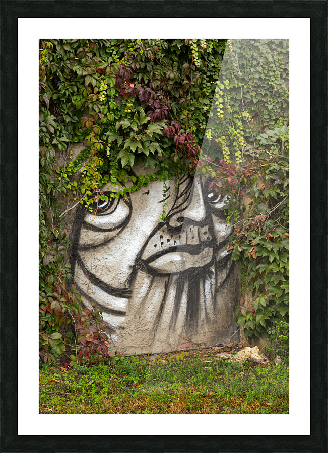 Graffiti on wall of rock like face of cat Picture Frame print