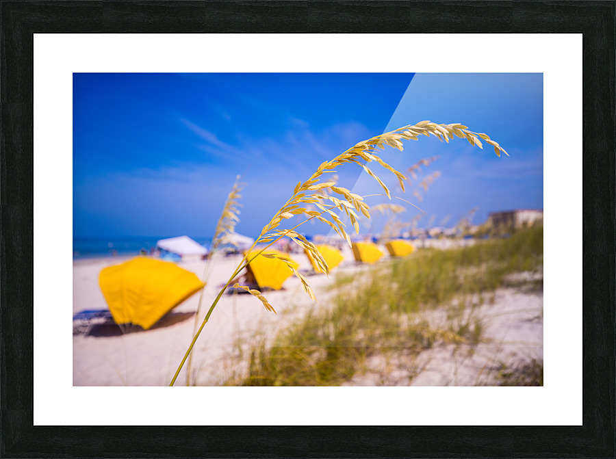 Madiera Beach and sea oats in Florida Picture Frame print