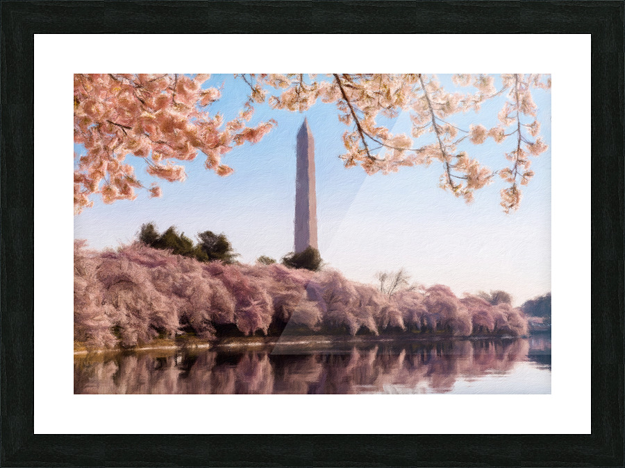 Digital art of the Washington Monument towering above blossoms Picture Frame print