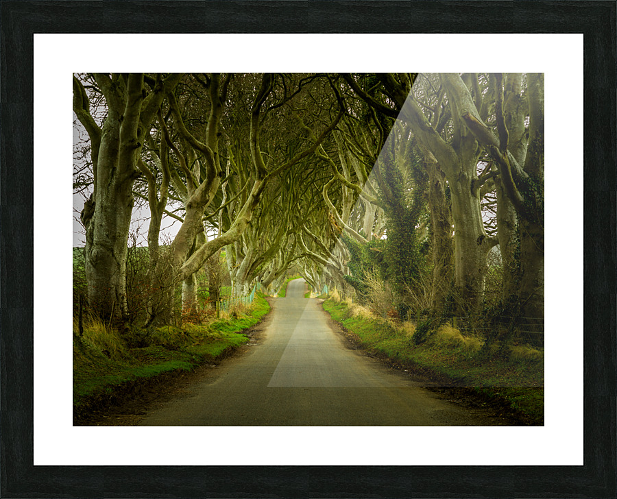 Dark Hedges road through old trees Picture Frame print