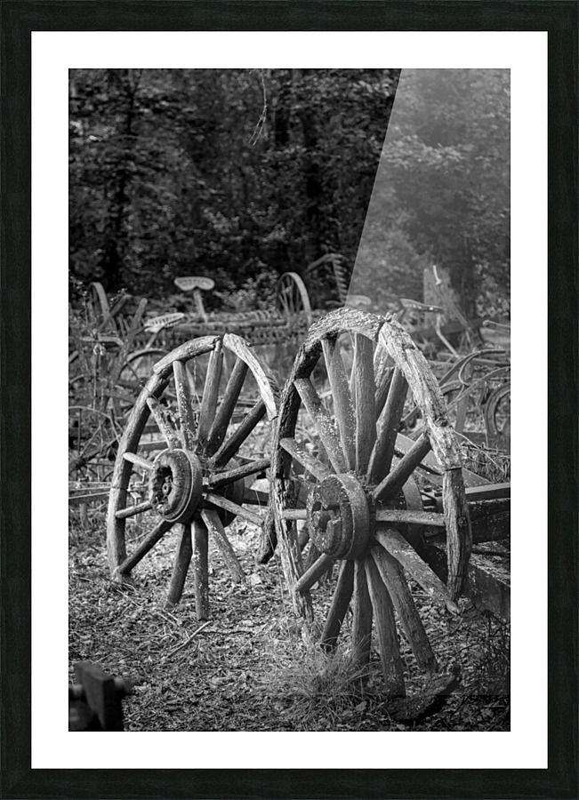 Two old wooden cartwheels against wood cart Picture Frame print