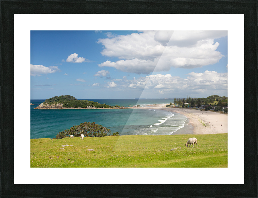 Hike around The Mount at Tauranga in NZ Picture Frame print