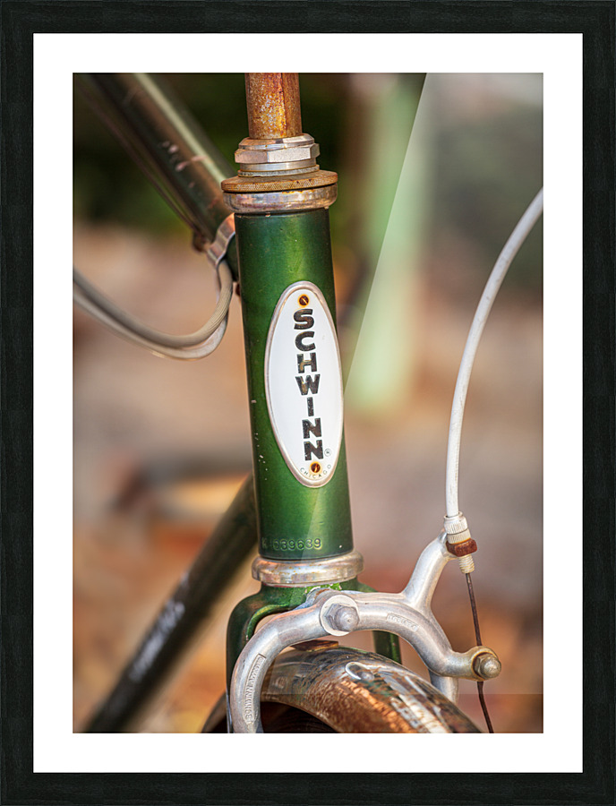 Memories of youth with Schwinn bike frame Impression et Cadre photo