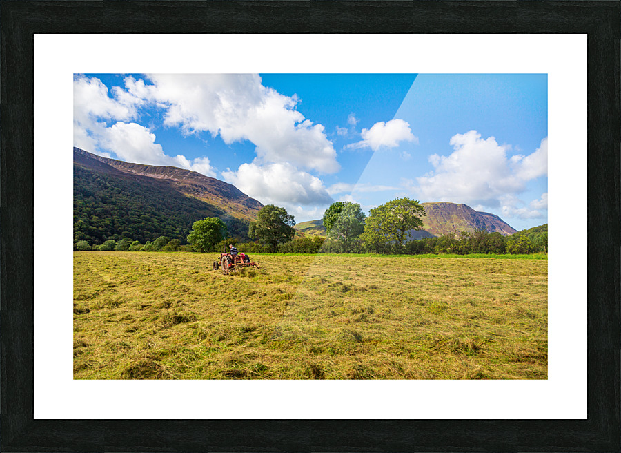 Antique tractor and threshing machine in England Picture Frame print