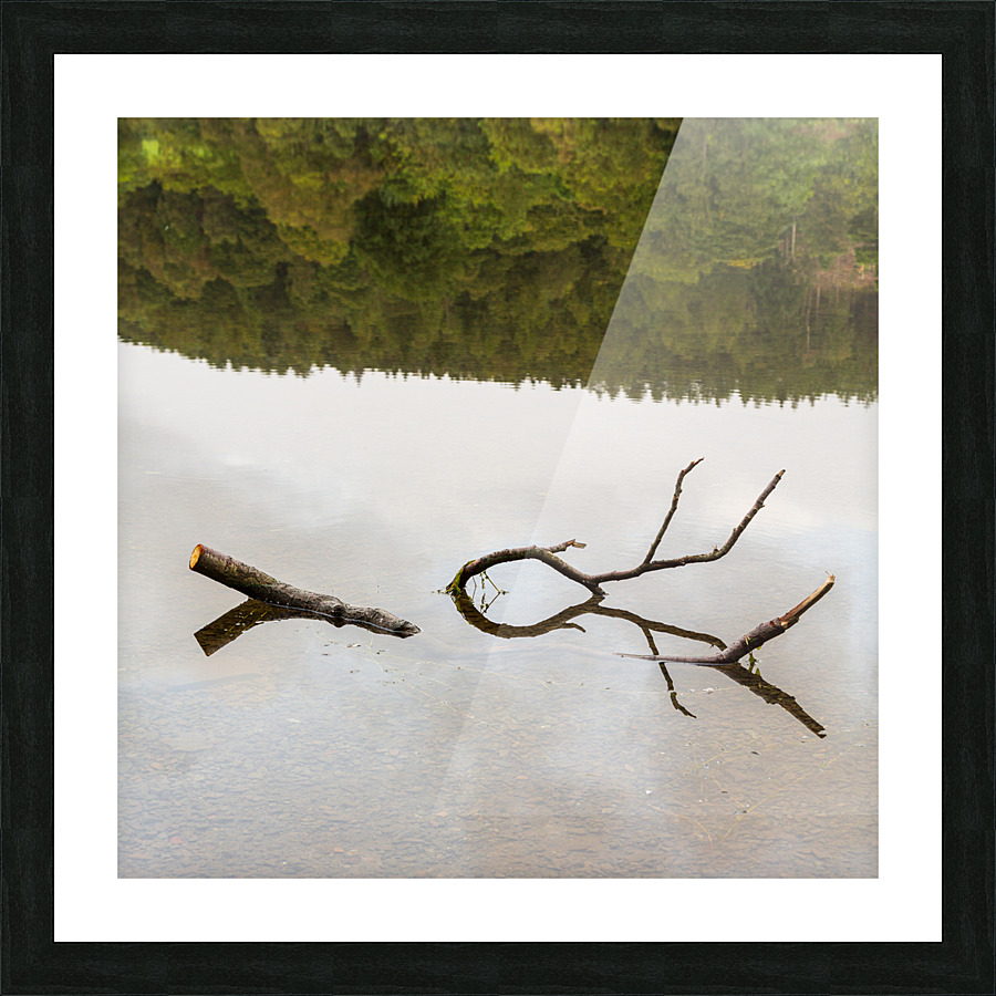 Reflection of branch in Coniston Water  Picture Frame print