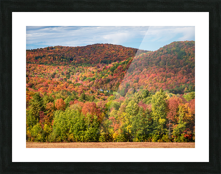 Multi-colored hillside in Vermont during the fall Impression et Cadre photo