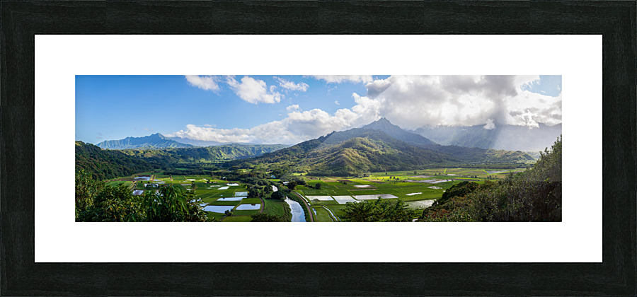 Hanalei valley from Princeville Kauai  Framed Print Print
