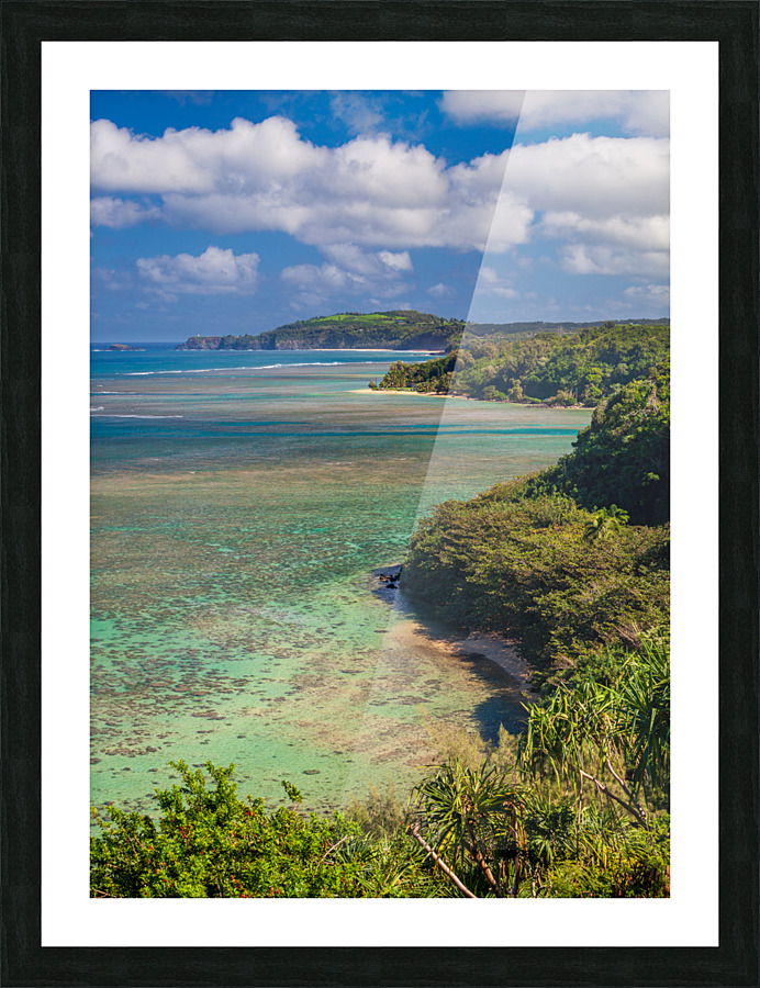 Sealodge and anini beach in Kauai Picture Frame print