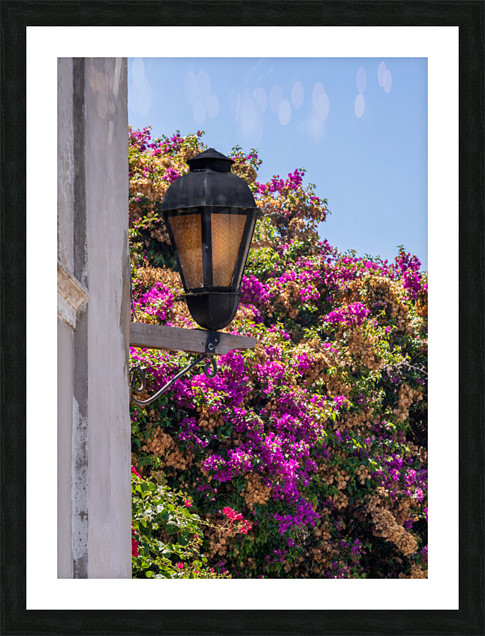 Street lamp in Unesco historical town of Colonia del Sacramento Picture Frame print