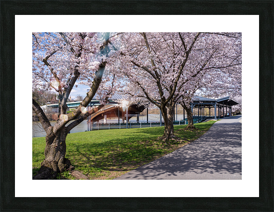 Ruby Amphitheater by walking trail  by the river in Morgantown W  Framed Print Print