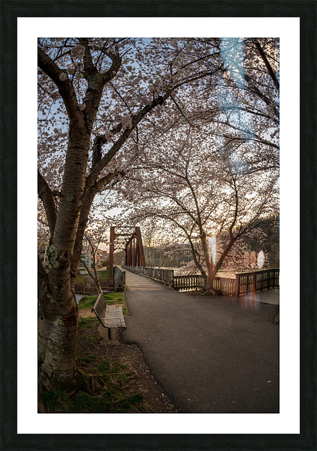 Steel girder bridge carries the bike walking trail over Deckers  Picture Frame print