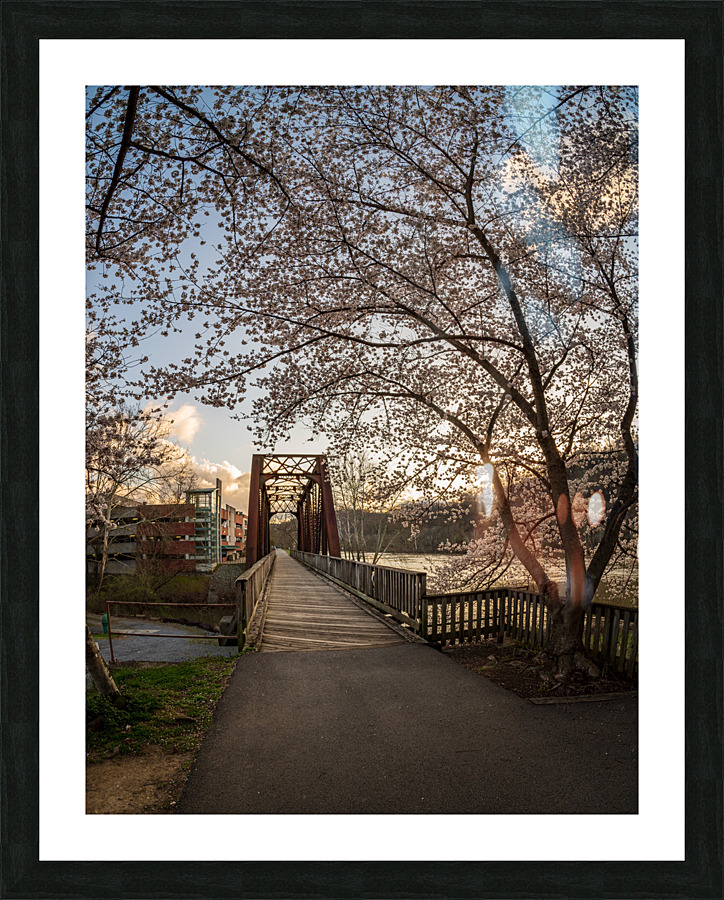 Steel girder bridge carries the bike walking trail over Deckers  Picture Frame print