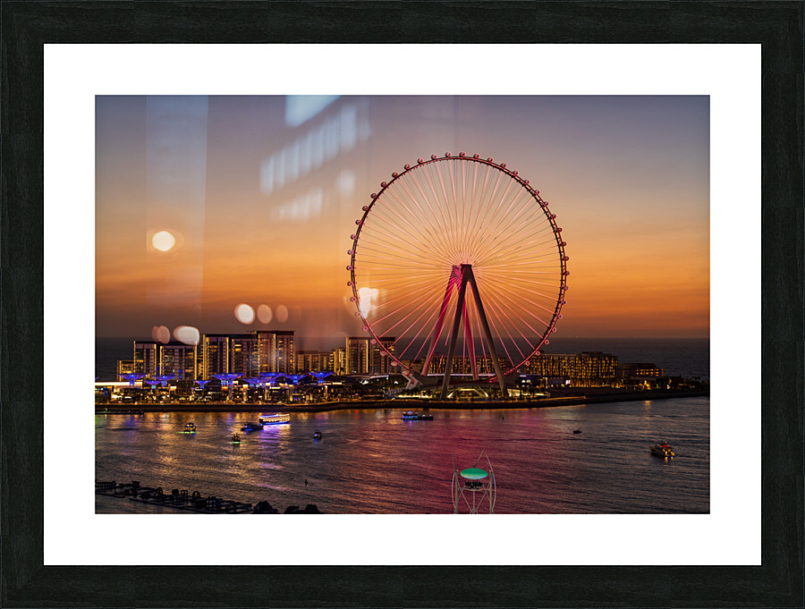 Light show on Ain Dubai observation wheel at sunset Picture Frame print