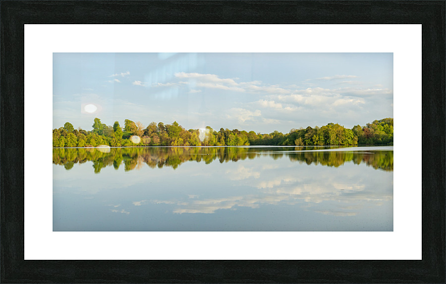 View across the Mere to a clear reflection of distant trees in E Picture Frame print