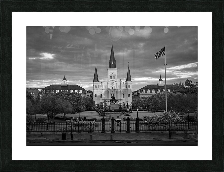 Monochrome view of Cathedral Basilica of Saint Louis Picture Frame print