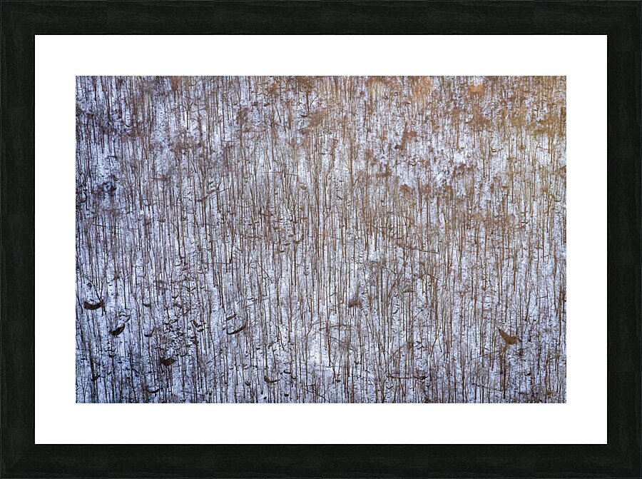 Rocky snow covered hillside at Coopers Rock at sunset Picture Frame print